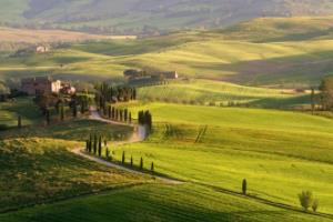 开云体育注册app-沙尔克04连续颓势，降级风险加大