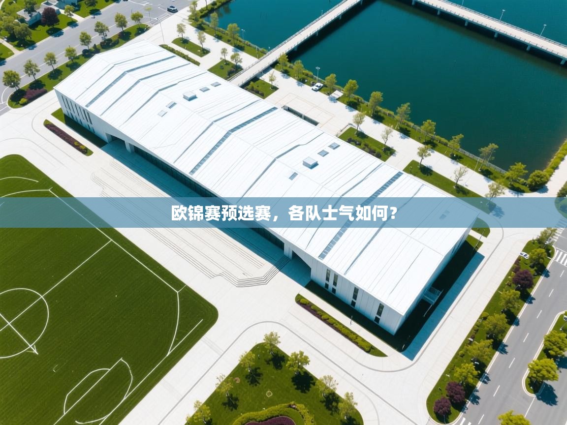 云开体育app官网入口-欧锦赛预选赛，各队士气如何？  第2张