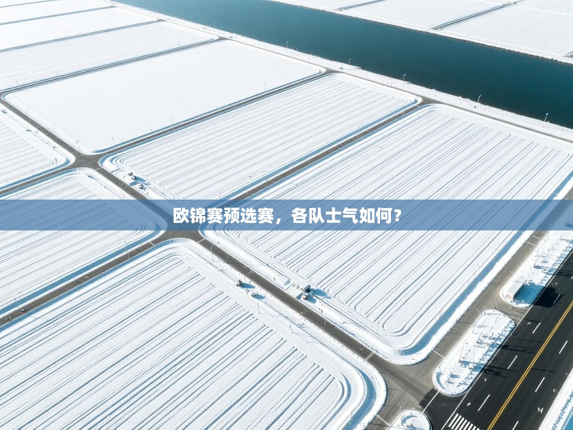 云开体育app官网入口-欧锦赛预选赛，各队士气如何？  第3张