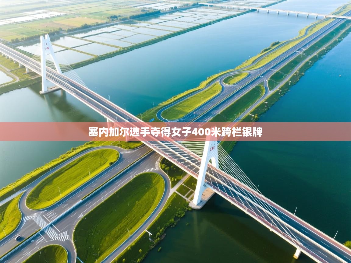 开云体育注册下载-塞内加尔选手夺得女子400米跨栏银牌  第2张