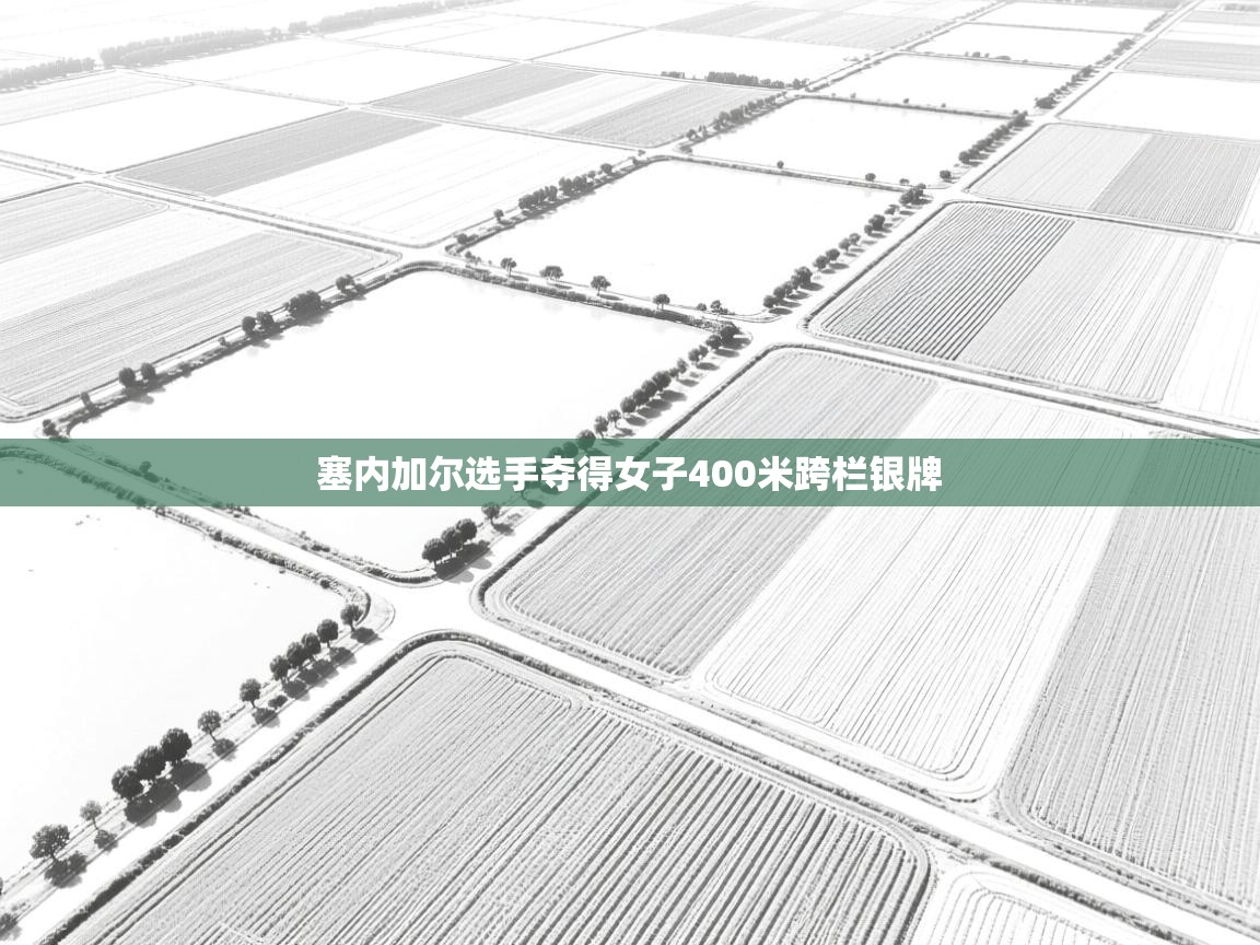 开云体育注册下载-塞内加尔选手夺得女子400米跨栏银牌  第3张