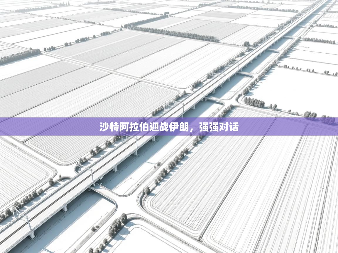 开云体育旧版下载地址-沙特阿拉伯迎战伊朗，强强对话  第4张