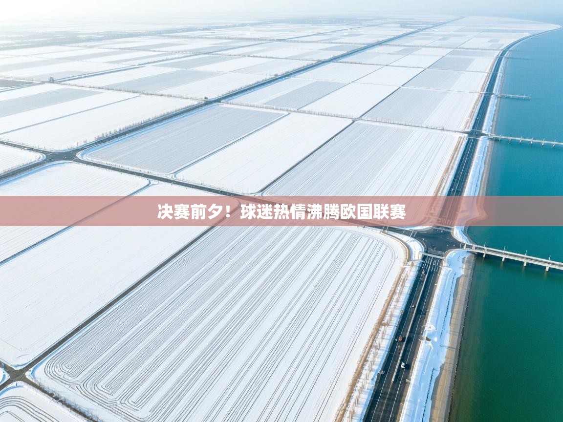 开云体育苹果版下载-决赛前夕！球迷热情沸腾欧国联赛