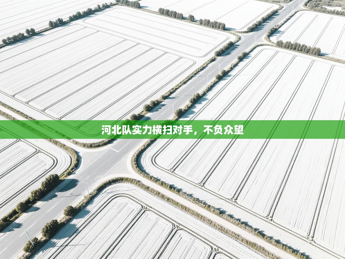 开云体育忘记密码找回-河北队实力横扫对手,不负众望 第1张