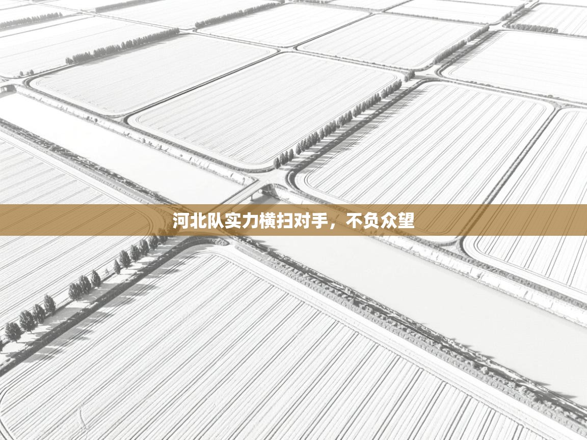 开云体育忘记密码找回-河北队实力横扫对手,不负众望 第3张