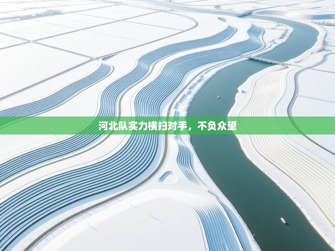 开云体育忘记密码找回-河北队实力横扫对手,不负众望 第4张