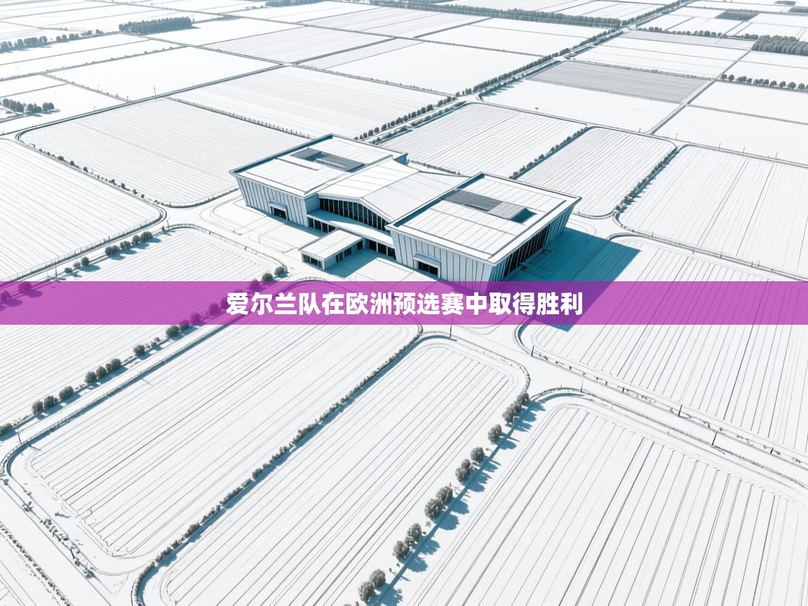 开云体育赛程表查询-爱尔兰队在欧洲预选赛中取得胜利  第2张