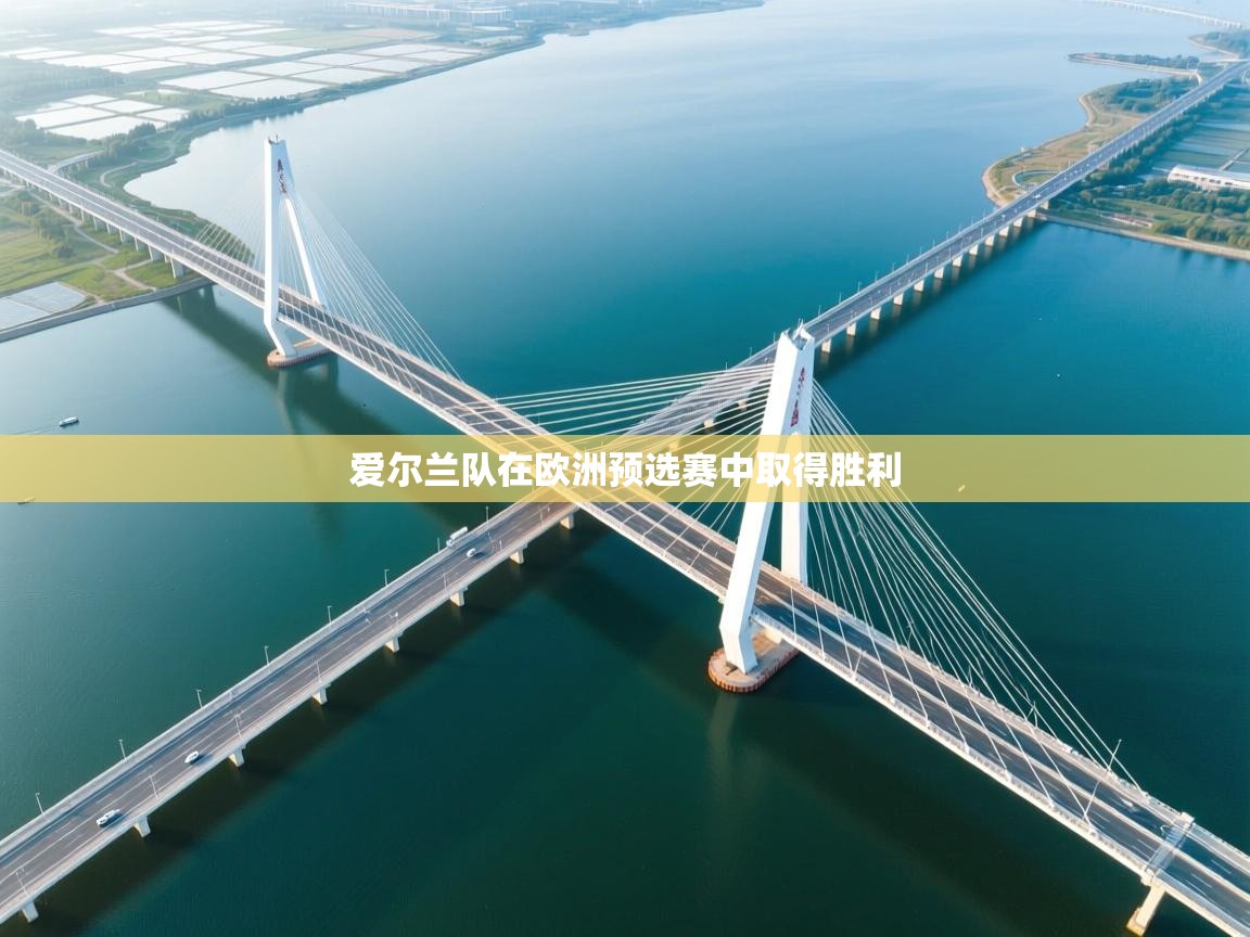 开云体育赛程表查询-爱尔兰队在欧洲预选赛中取得胜利  第3张