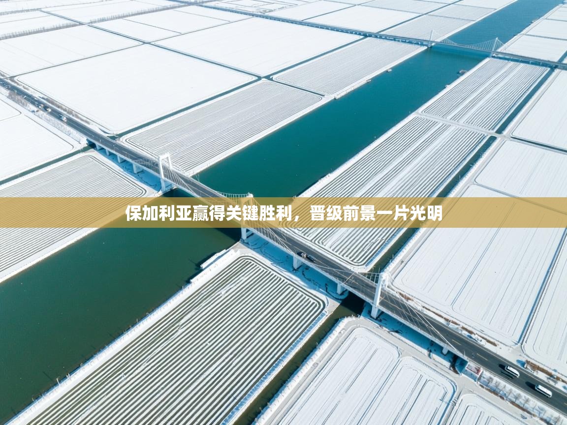 开云体育入口下载-保加利亚赢得关键胜利，晋级前景一片光明  第4张